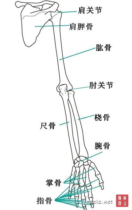 10020791569_430x680.webp