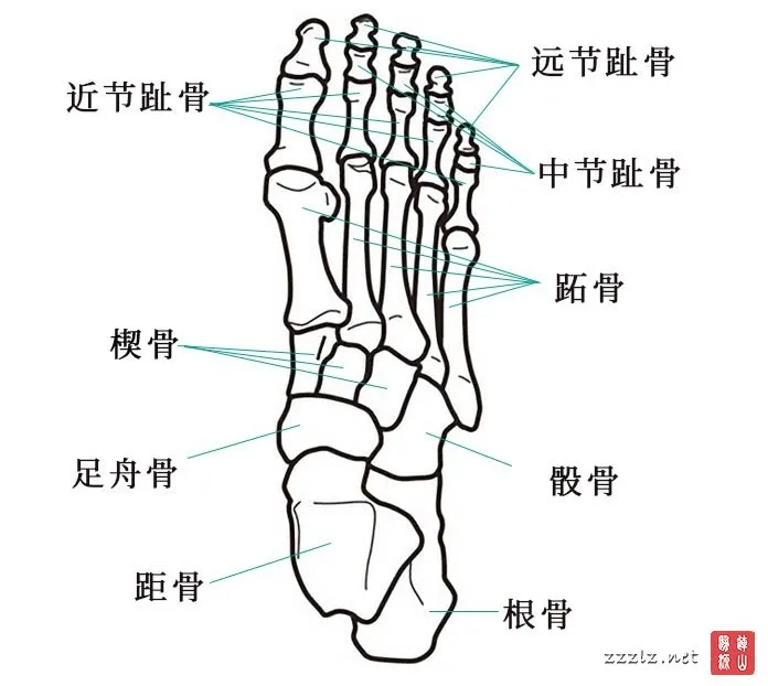 16461768317_696x622.webp