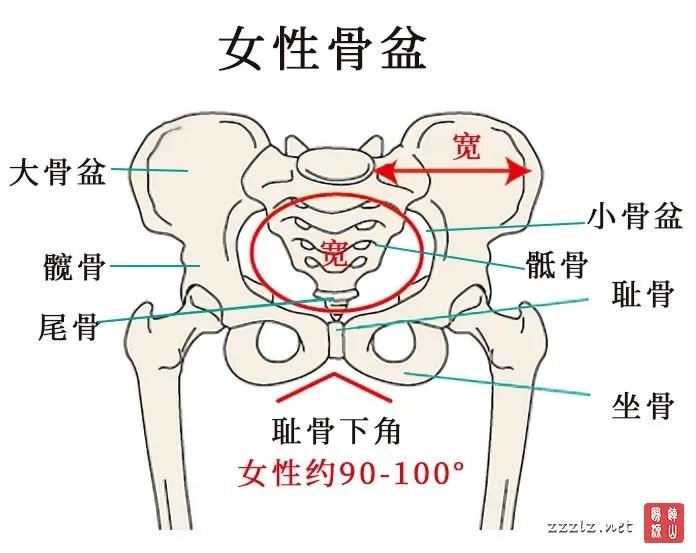 17552116696_696x553.webp