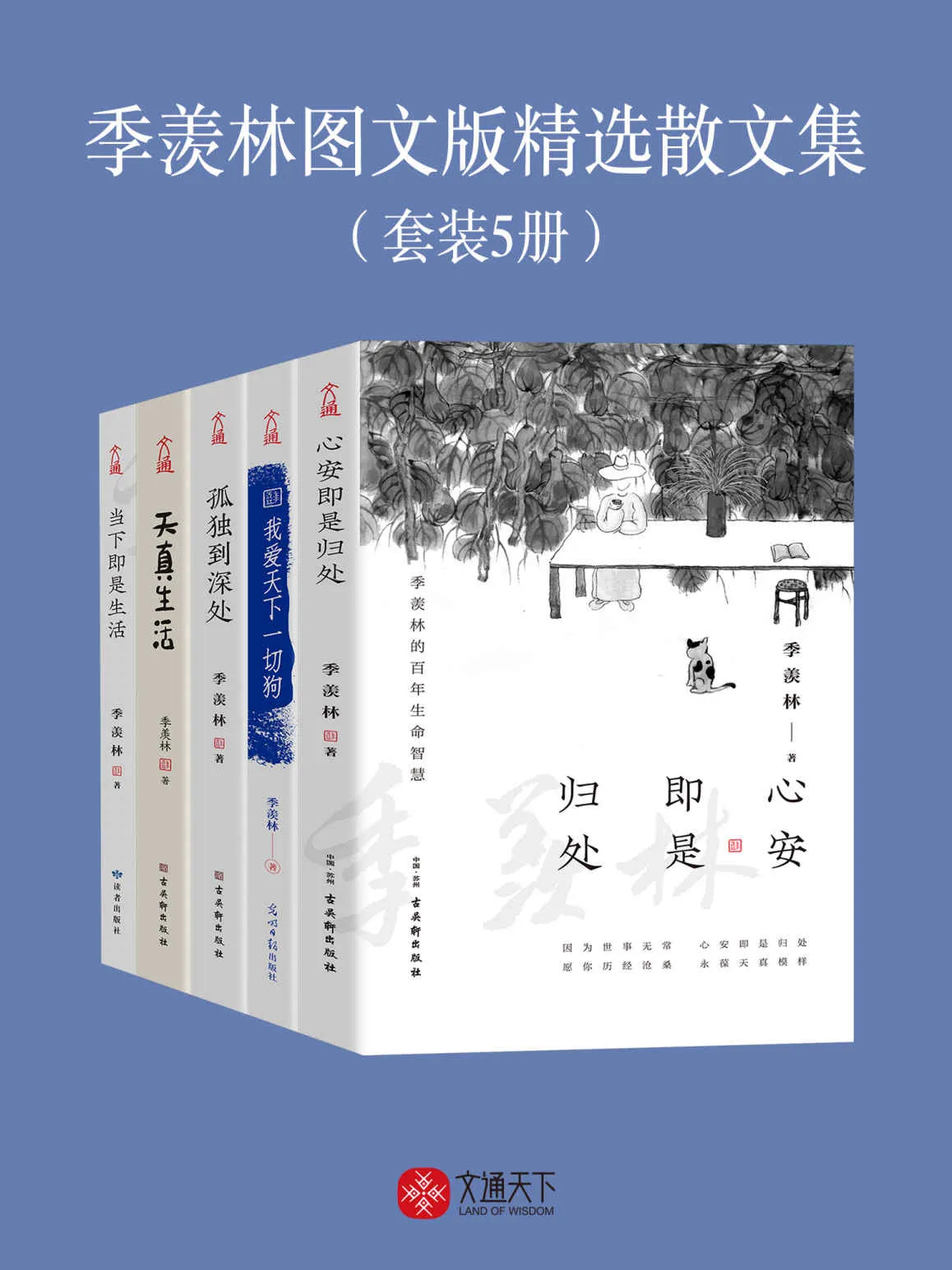 21353.webp