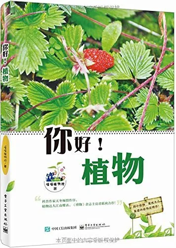 51nQa5tLS-L.webp