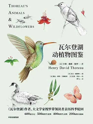 414QRHRWhYL.webp
