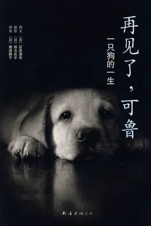 s27163103.webp