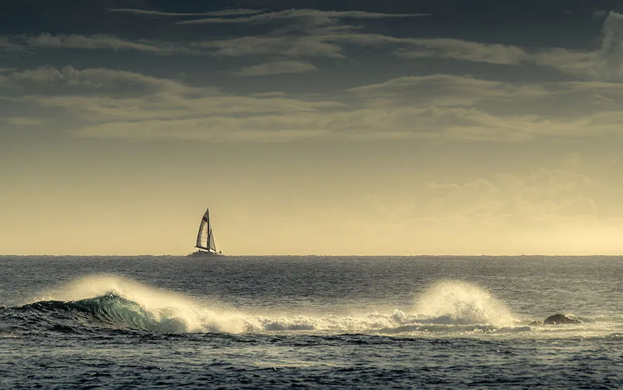 03790_dreaming