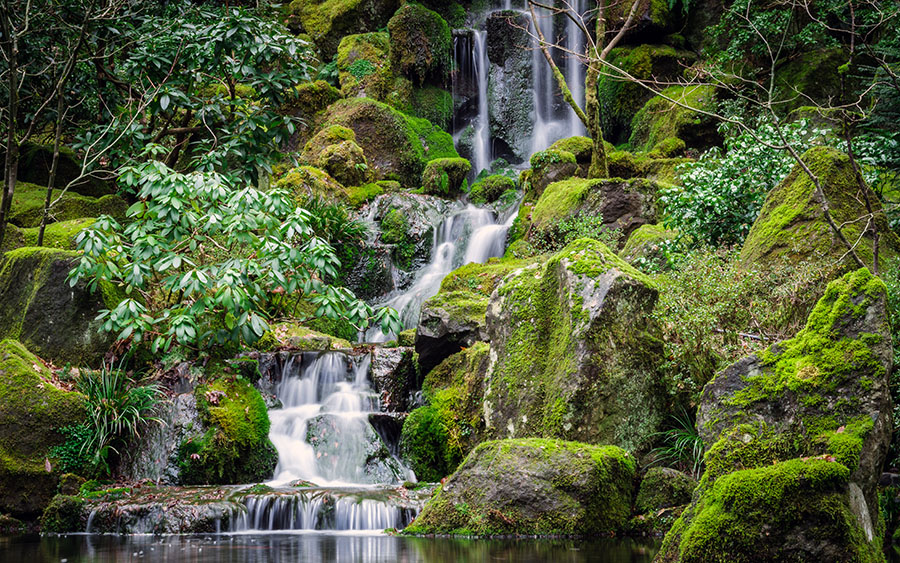 03866_thejapanesegardens