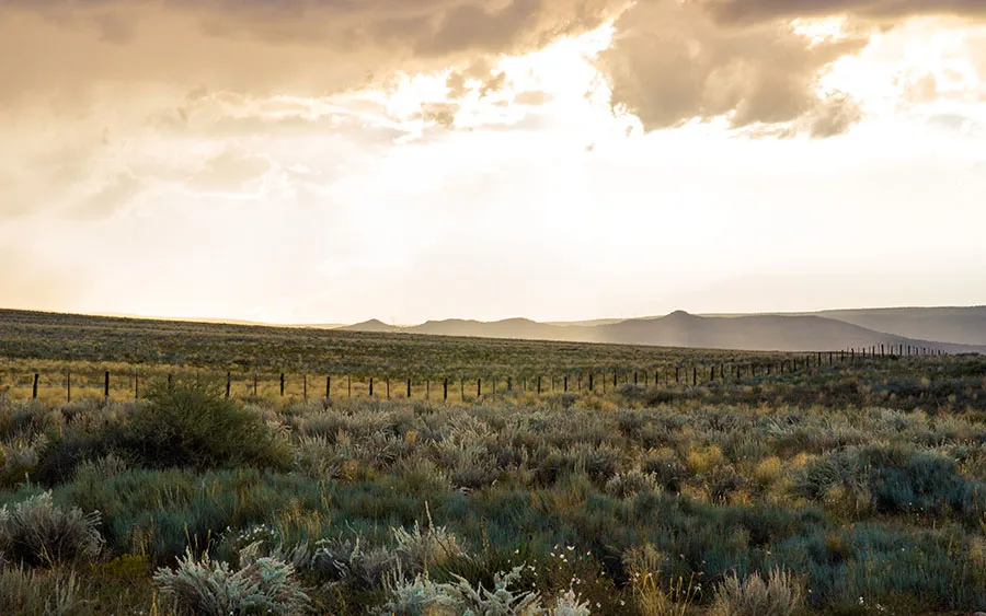 03738_sunset