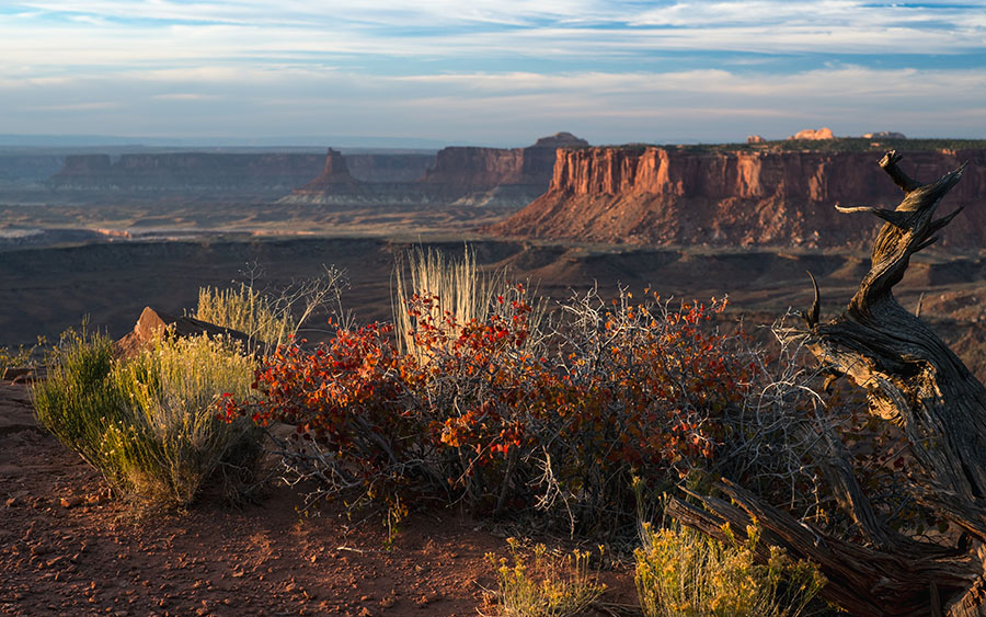 03793_canyonlands