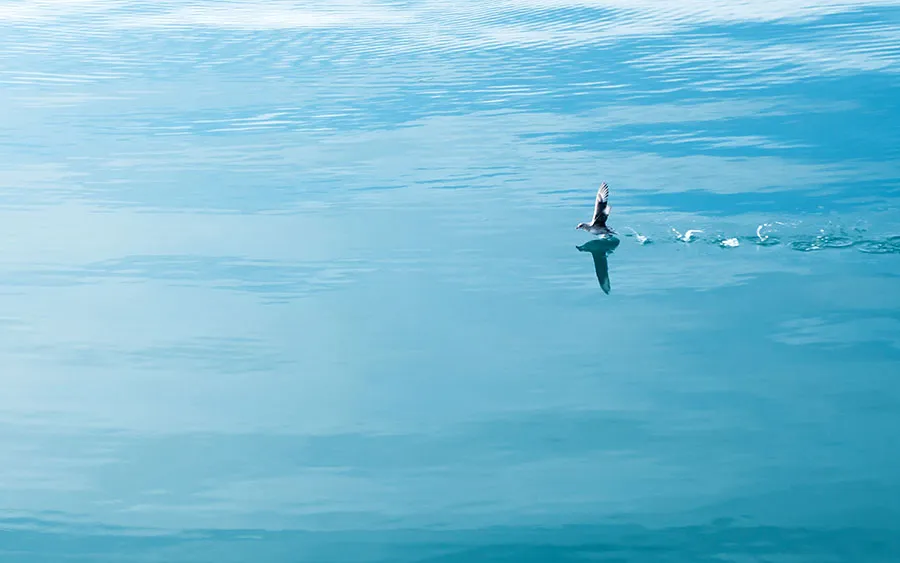03682_runningonwater