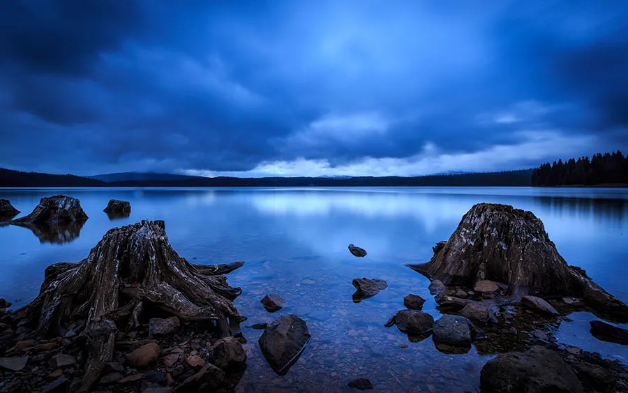 03593_chilledstumps