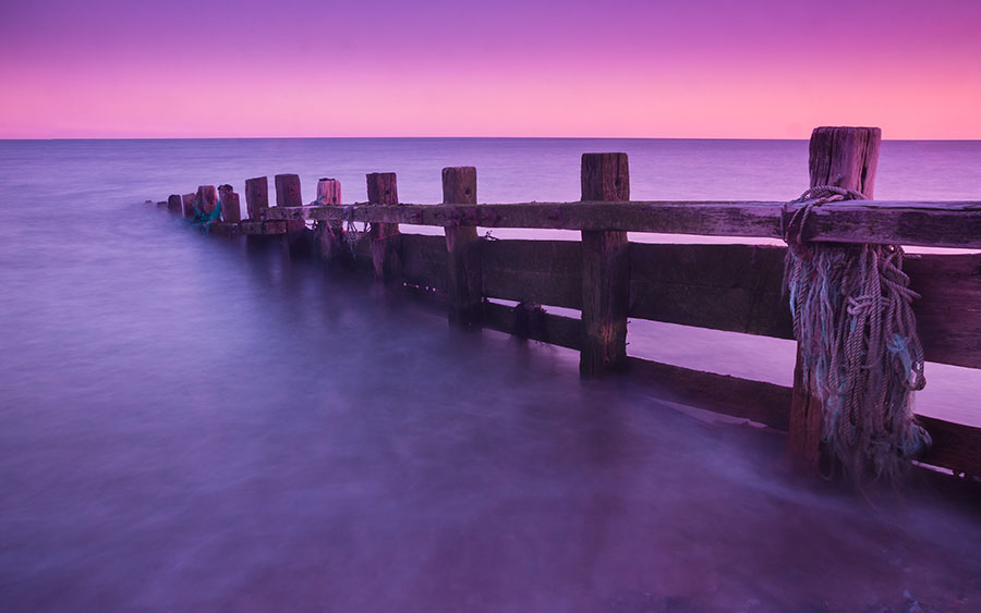 03257_purple