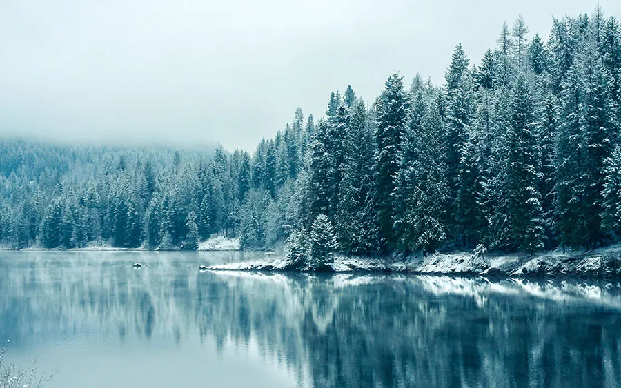 03134_firstlightofwinter