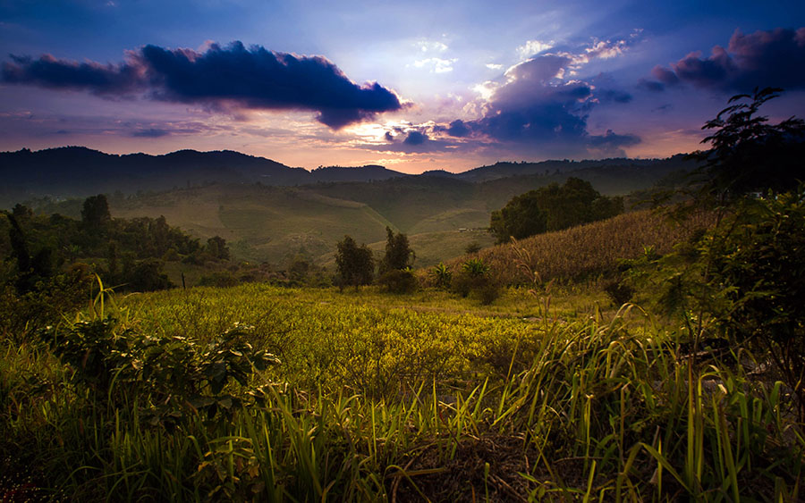 03483_ruralthailand2