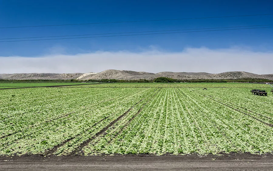 03326_coastalcaliforniasky