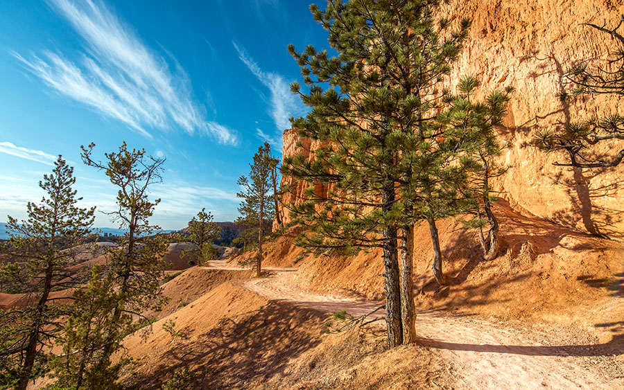 03909_insidebrycecanyon