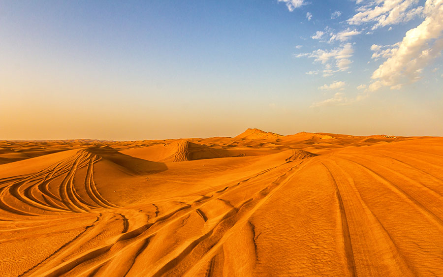 03232_desertsafari