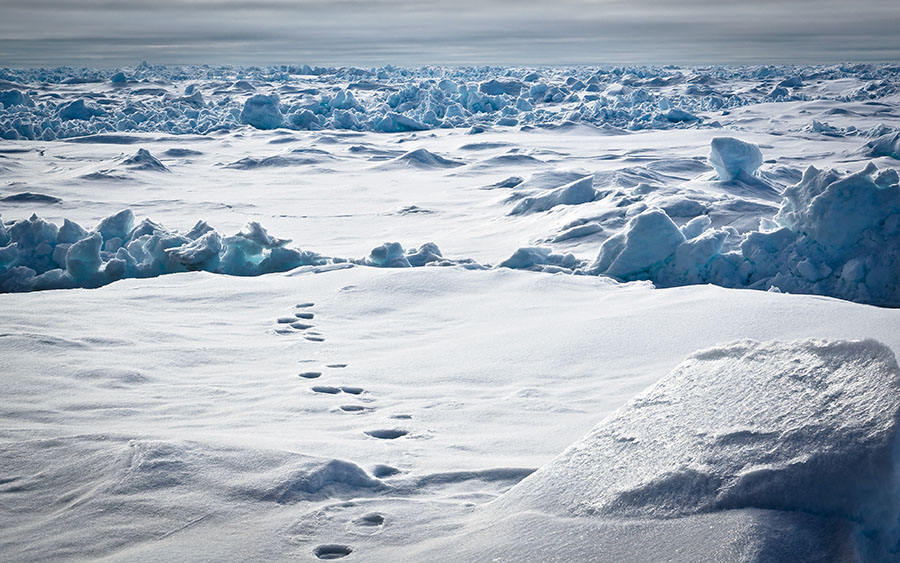 03933_polartracks