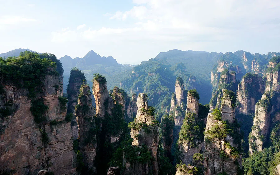 03477_forestpillars