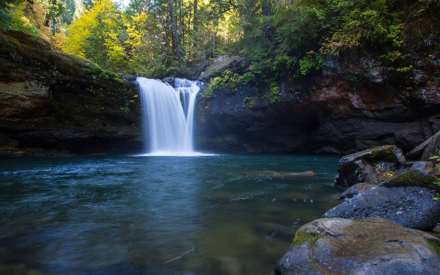 03386_coquillefalls