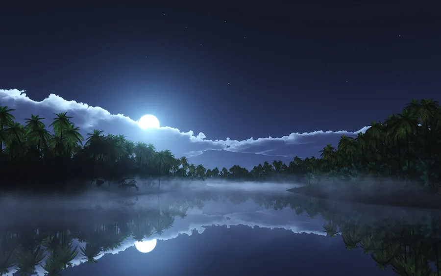03525_tropiccoldnight