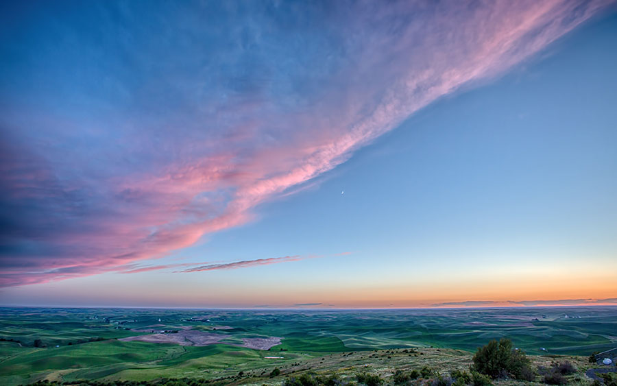 03456_washingtonplains