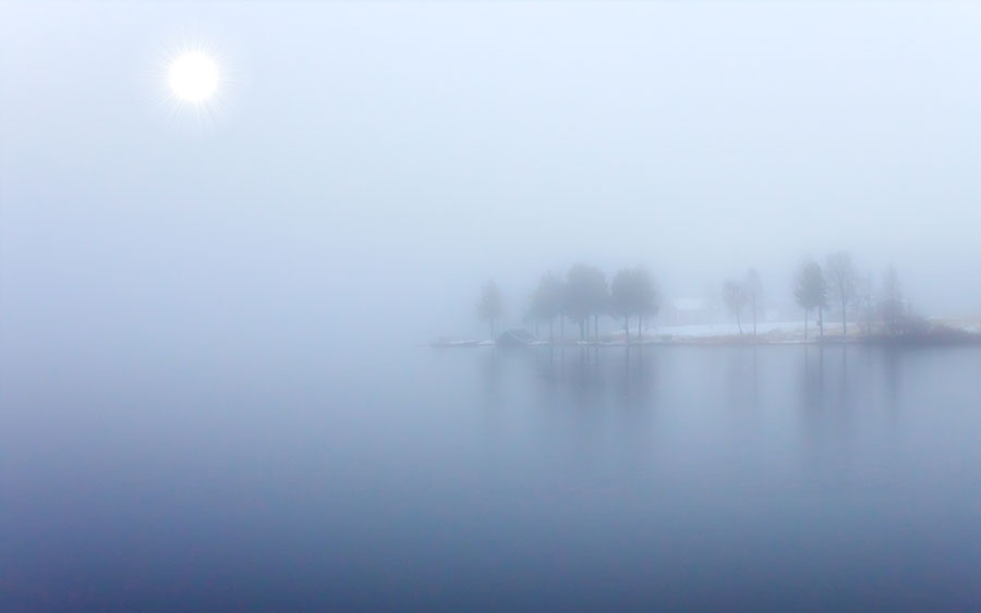 03153_bluefog