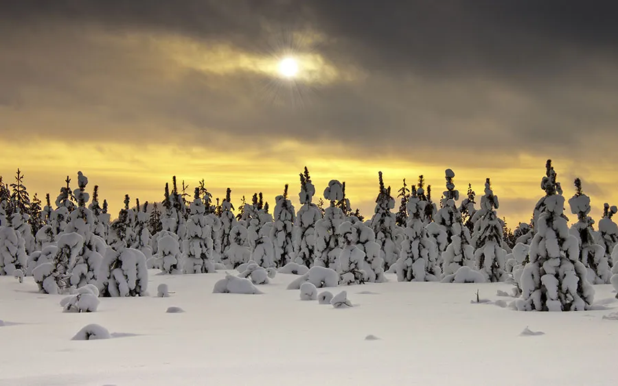 03717_wintertime
