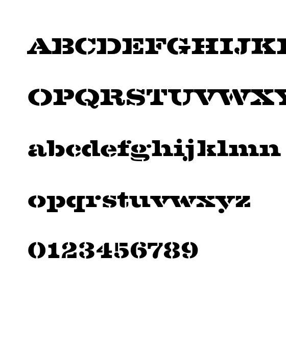 VoltaSteDBol.webp