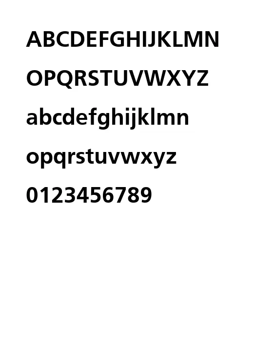 Palma SSi Bold.webp