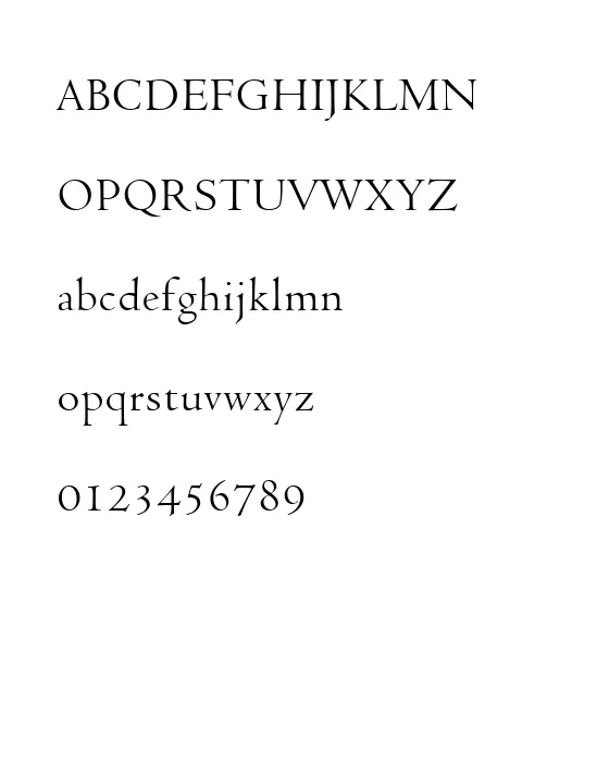 VEN301N.webp