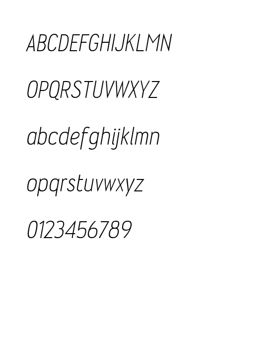 Wyvern Lt Italic.webp