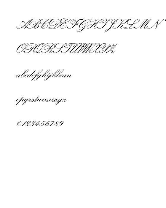 WynnerockScript-TwoBold.webp