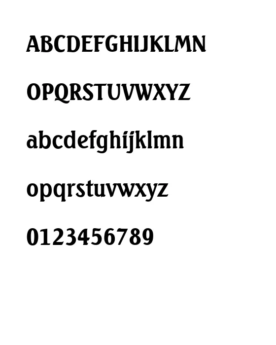 SeagullSerial-Bold.webp