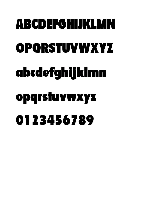 Seigh Display SSi.webp
