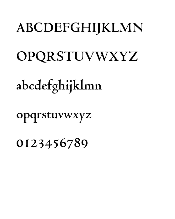 Venetian301 Bd BT Bold.webp