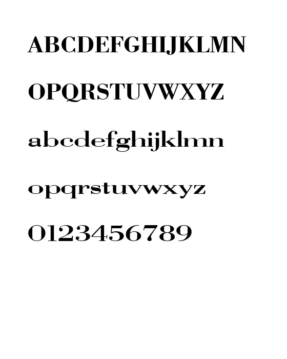 Vangard Solid Regular.webp