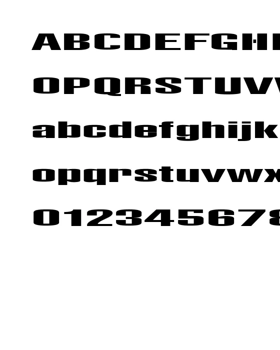 Lights Regular.webp