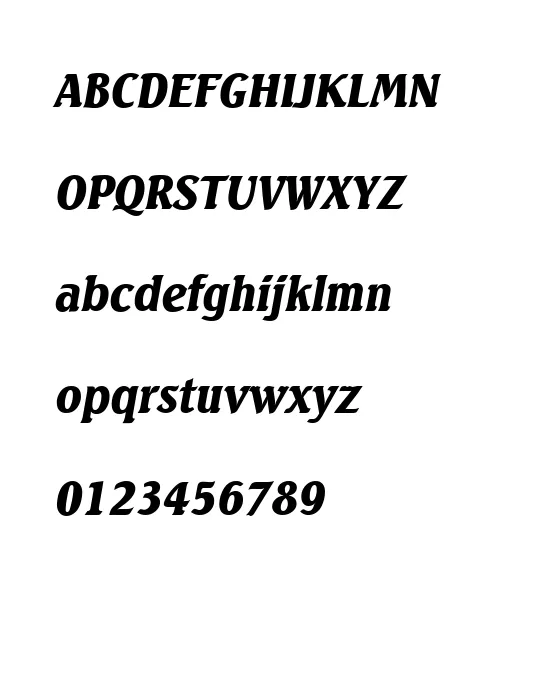 SeagullSerial-BlackItalic.webp