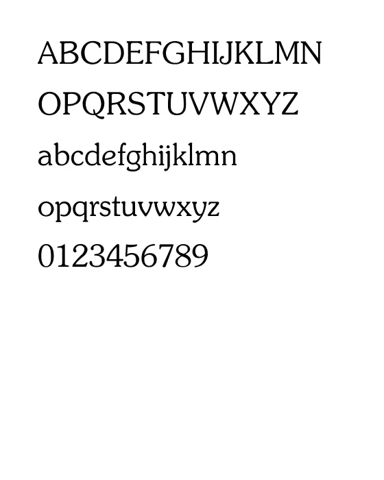 Zipf Light.webp