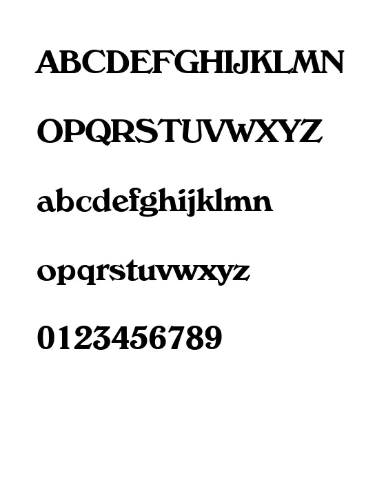 VeronaSerial-Bold.webp