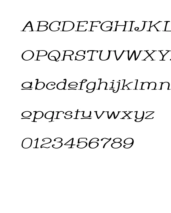 Whackadoo Upper Wide Italic.webp