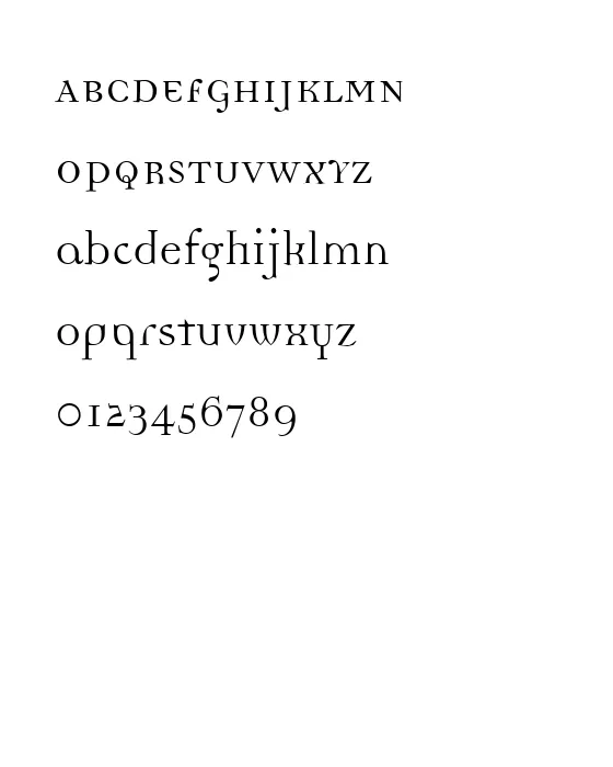 DemocraticaRegular Medium.webp