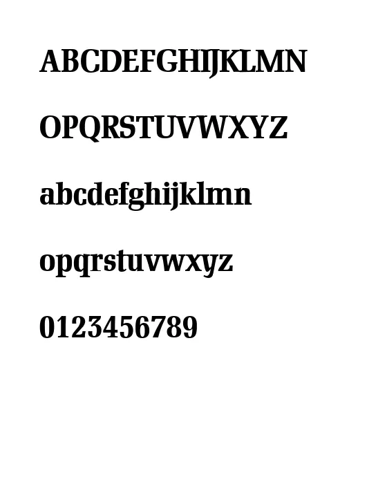 D790-Roman-Bold.webp