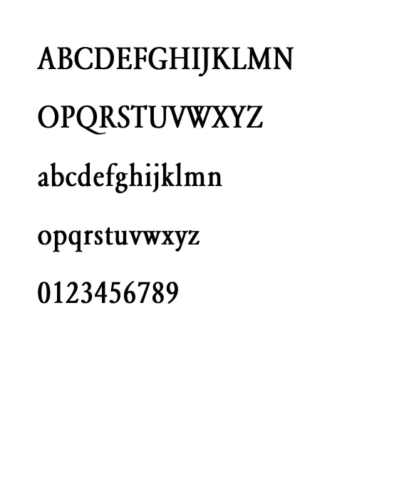 Yearlind-Normal Thin Bold.webp