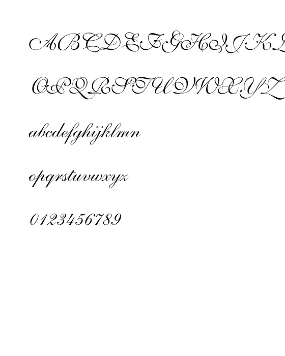 Volante.webp