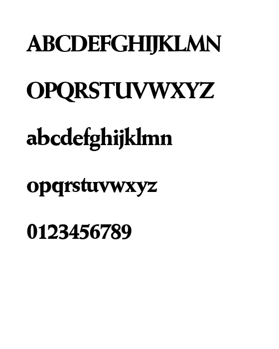 W690-Roman-Bold.webp