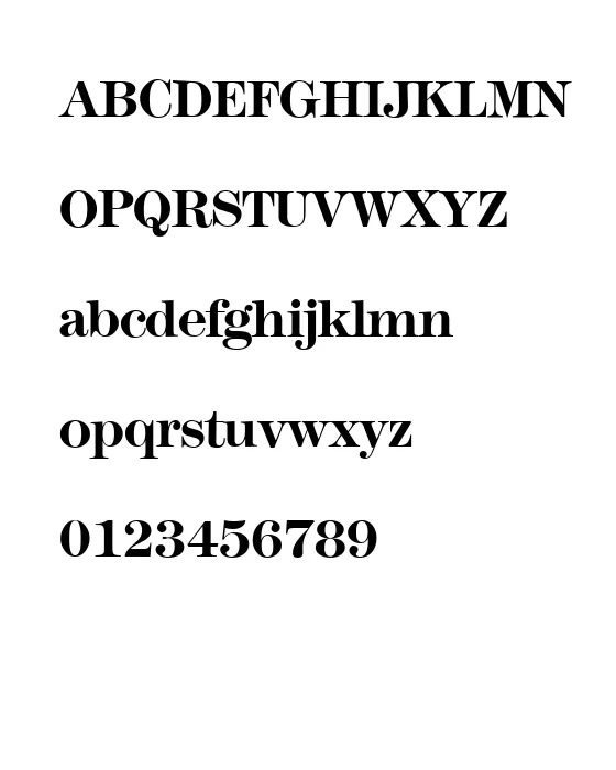 M791-Modern-Bold.webp