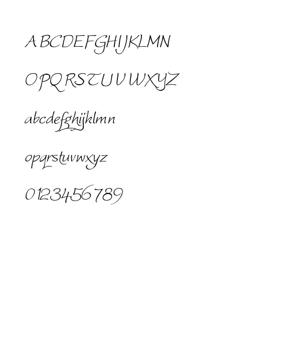 WorstveldSlingExtra2Oblique.webp