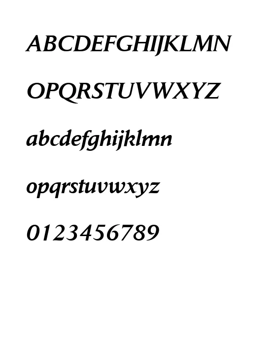 Daily News Medium Italic.webp