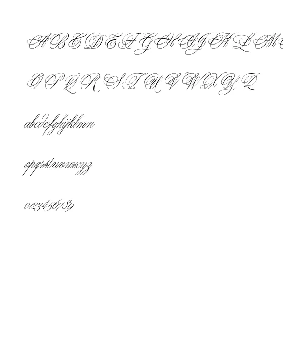 YoungBaroquePlain.webp