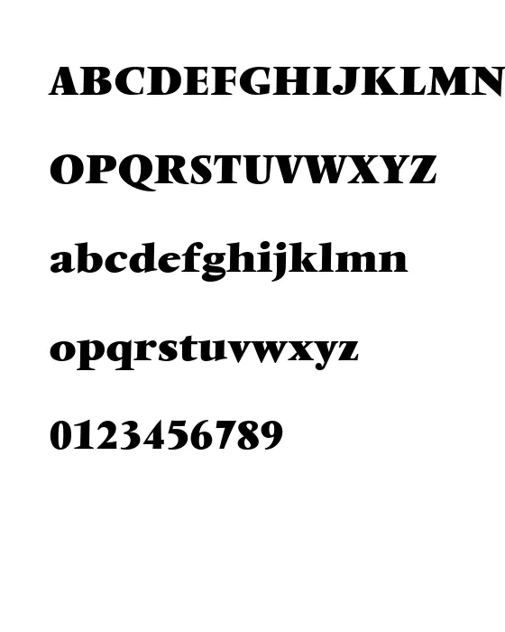 VendomeT Bold.webp